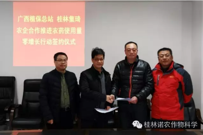 廣西植?？傉九c桂林集琦簽訂農(nóng)藥零增長合作協(xié)議